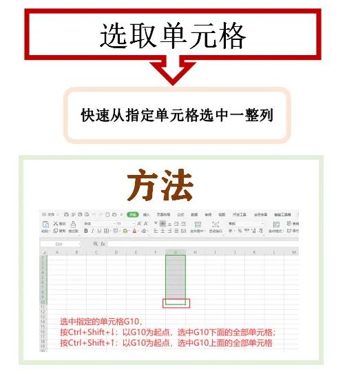 「wps表格」选取单元格2