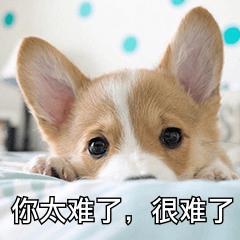 学习的视频教学网,在线学习视频网站有哪些