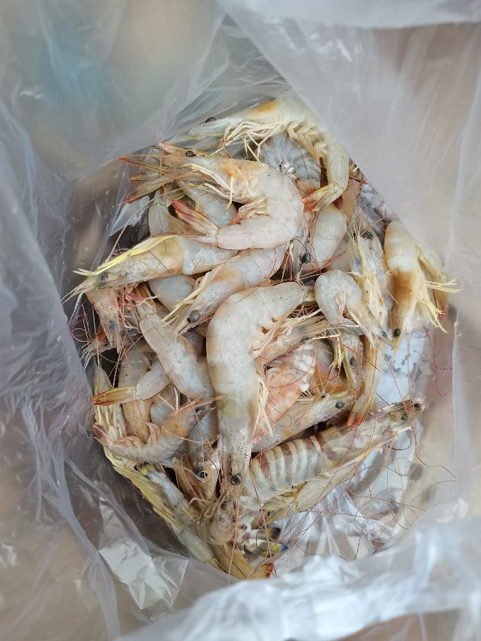 包网捕鱼到底要怎么样，答案在这里。