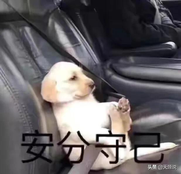 天源说：鉴定之，眼学和微观学……