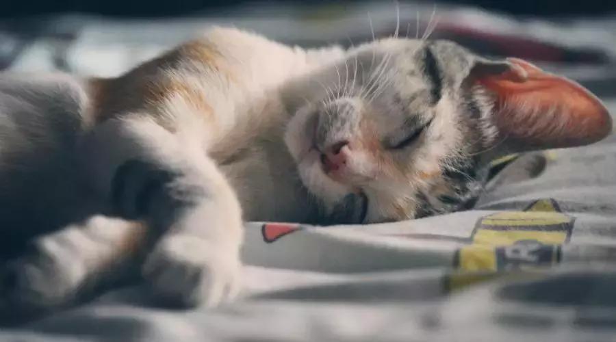 分分分儿，老师的命根儿