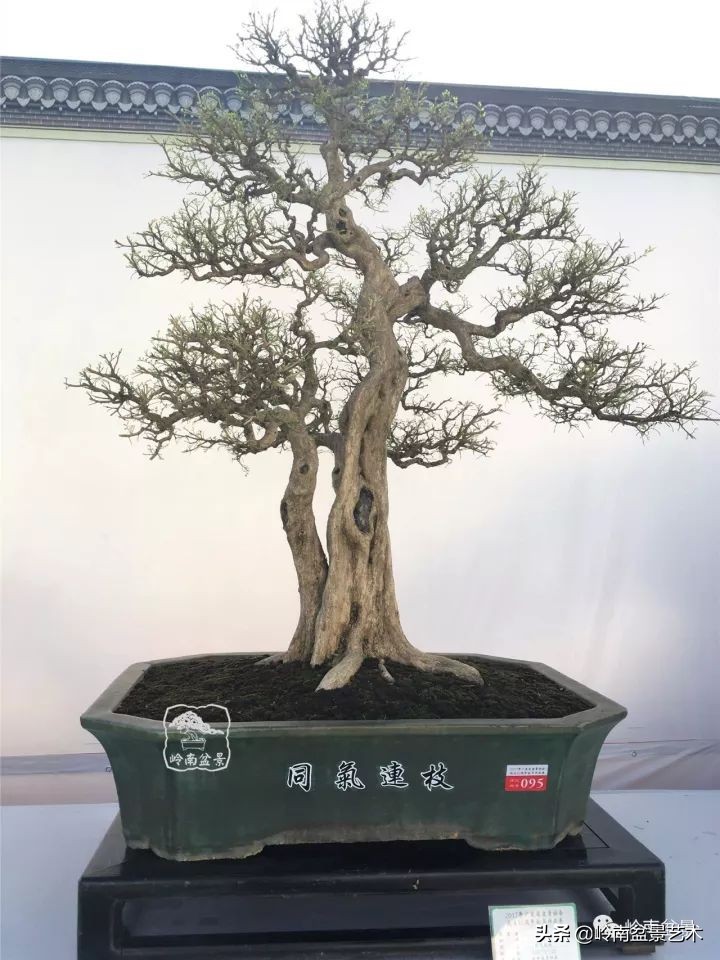 骞哥涔呬箙鐢滅敎铚滆湝,骞哥涔呬箙