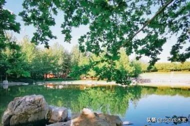 芒种旅游景点推荐,芒种至仲夏节气