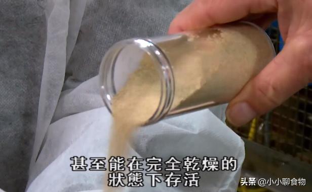 面点制作大全面粉,制作面点撒面粉视频