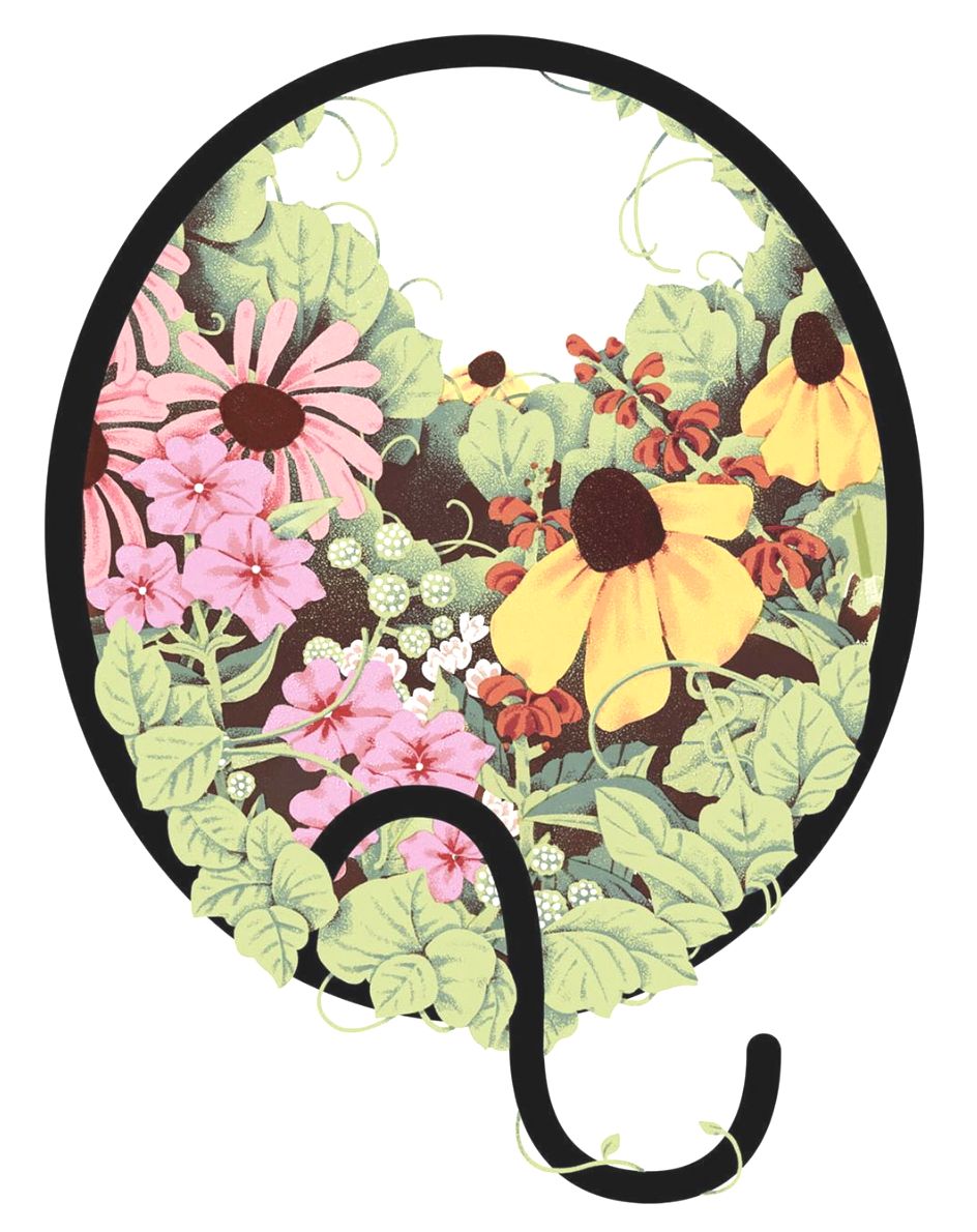 精妙的细节和色彩插画,插画作品想象力是最吸引人的色彩