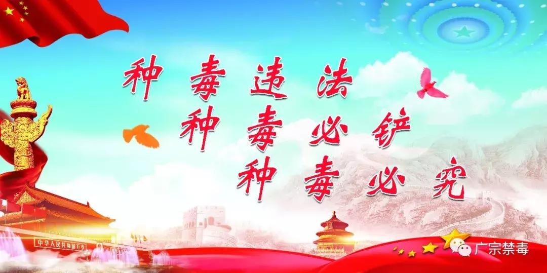 吃保健品养生？当心这种“*麻大**鱼油胶囊”，可能让你染“毒瘾”！