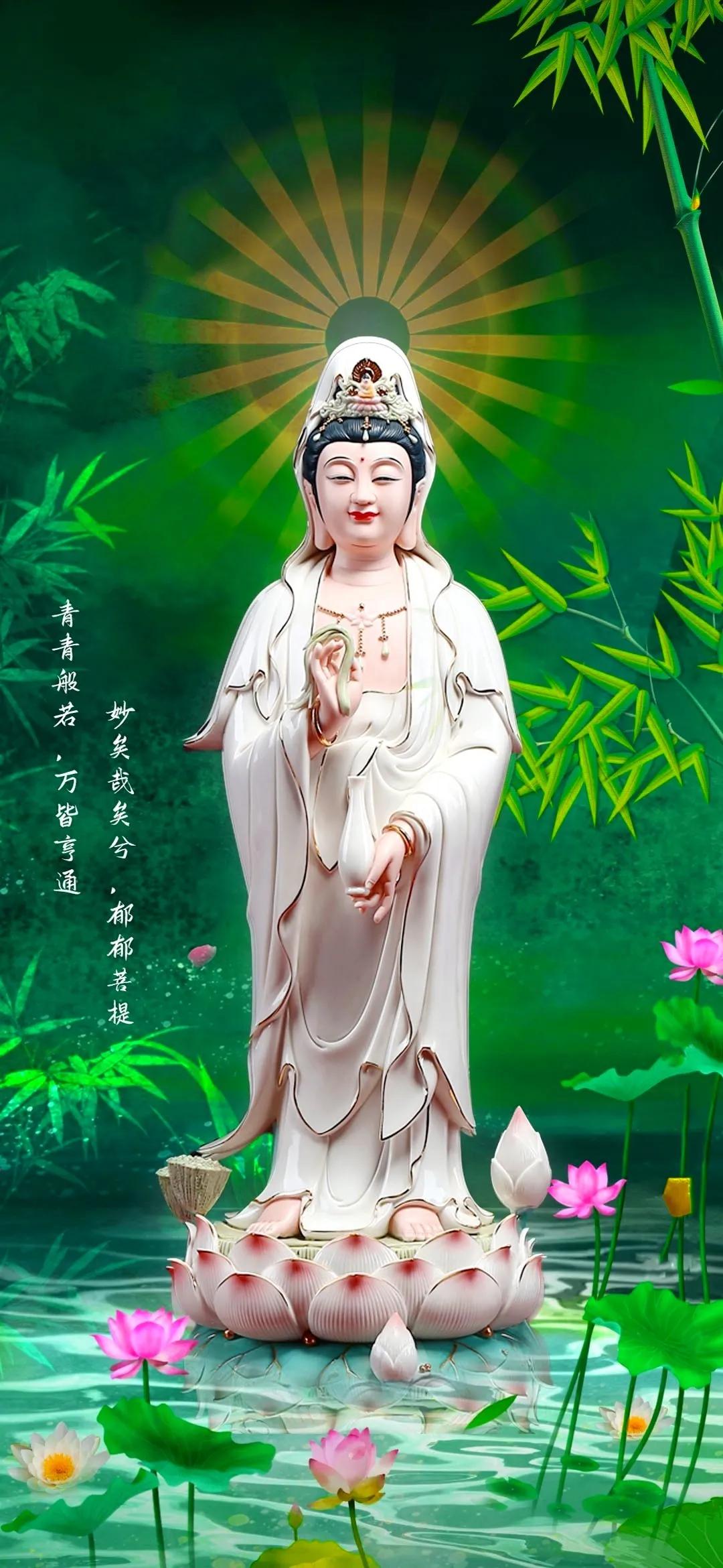 手机壁纸佛系清新可爱,手机壁纸佛系古风