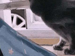 “你太低估了我的脚气，不知道还有没有救？”年轻总要付出代价