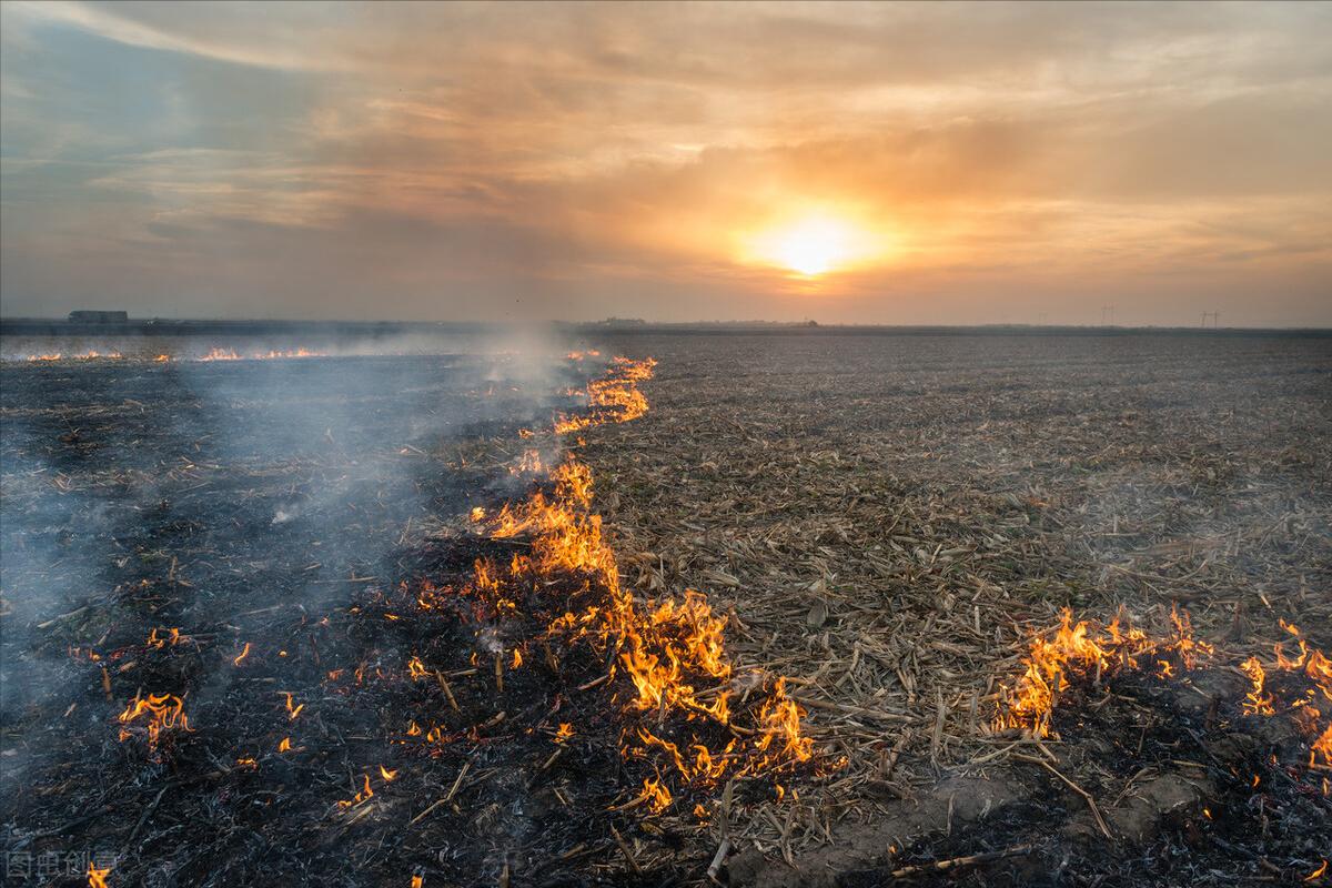城管处置春耕焚烧秸秆,春耕焚烧秸秆的利弊
