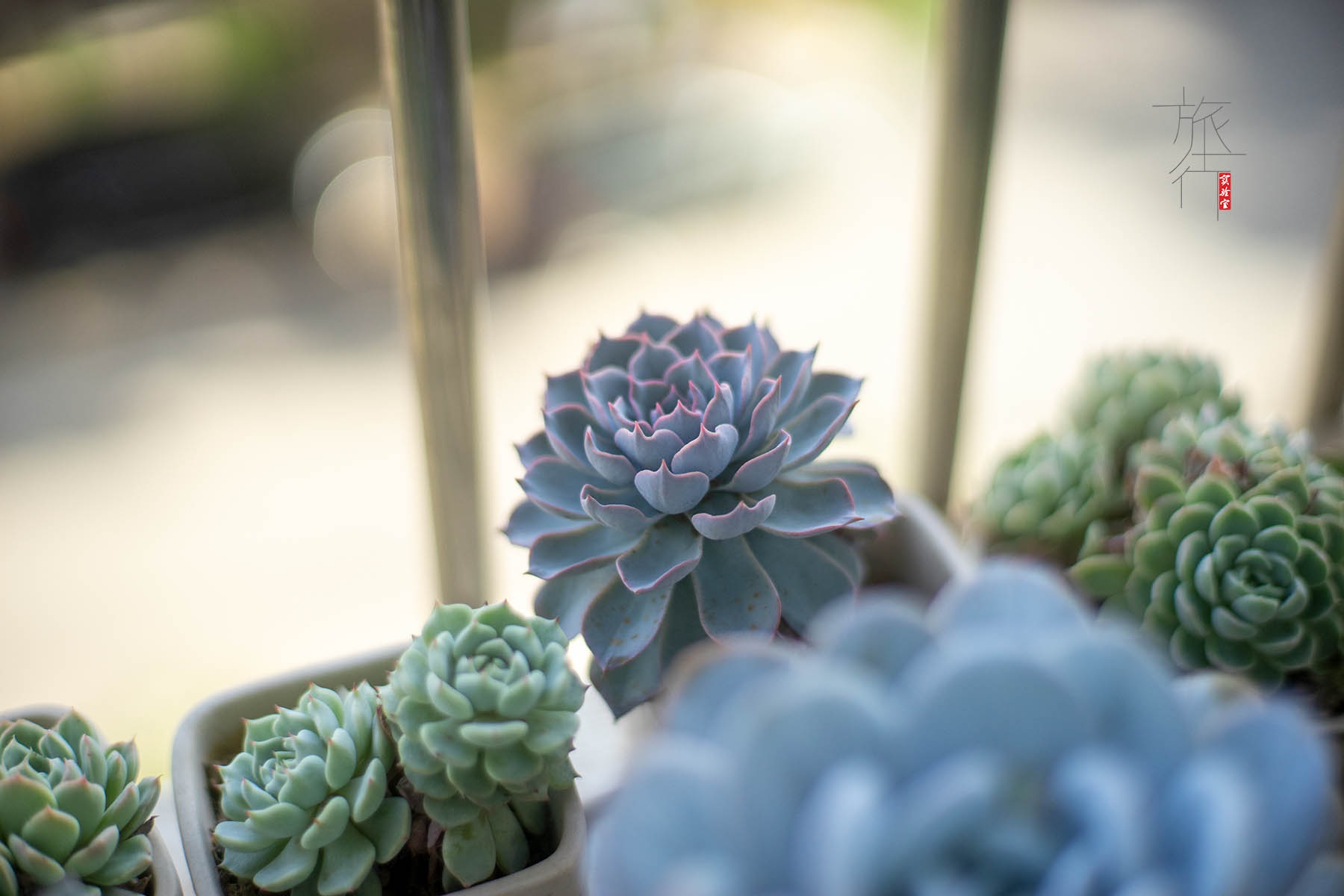 佳能小痰盂三代原装全新,佳能镜头小痰盂二手二代