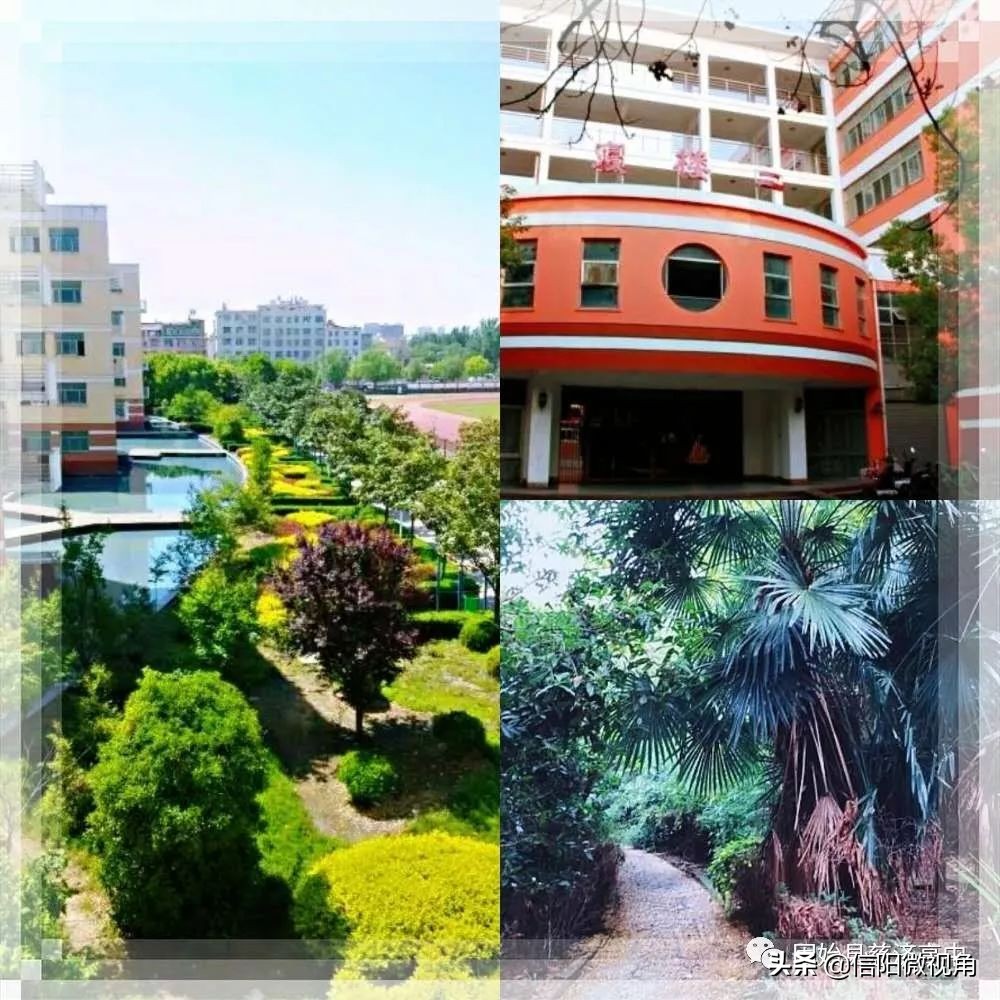 固始县慈济高中操场多大图,固始县慈济高中附近有啥好玩的