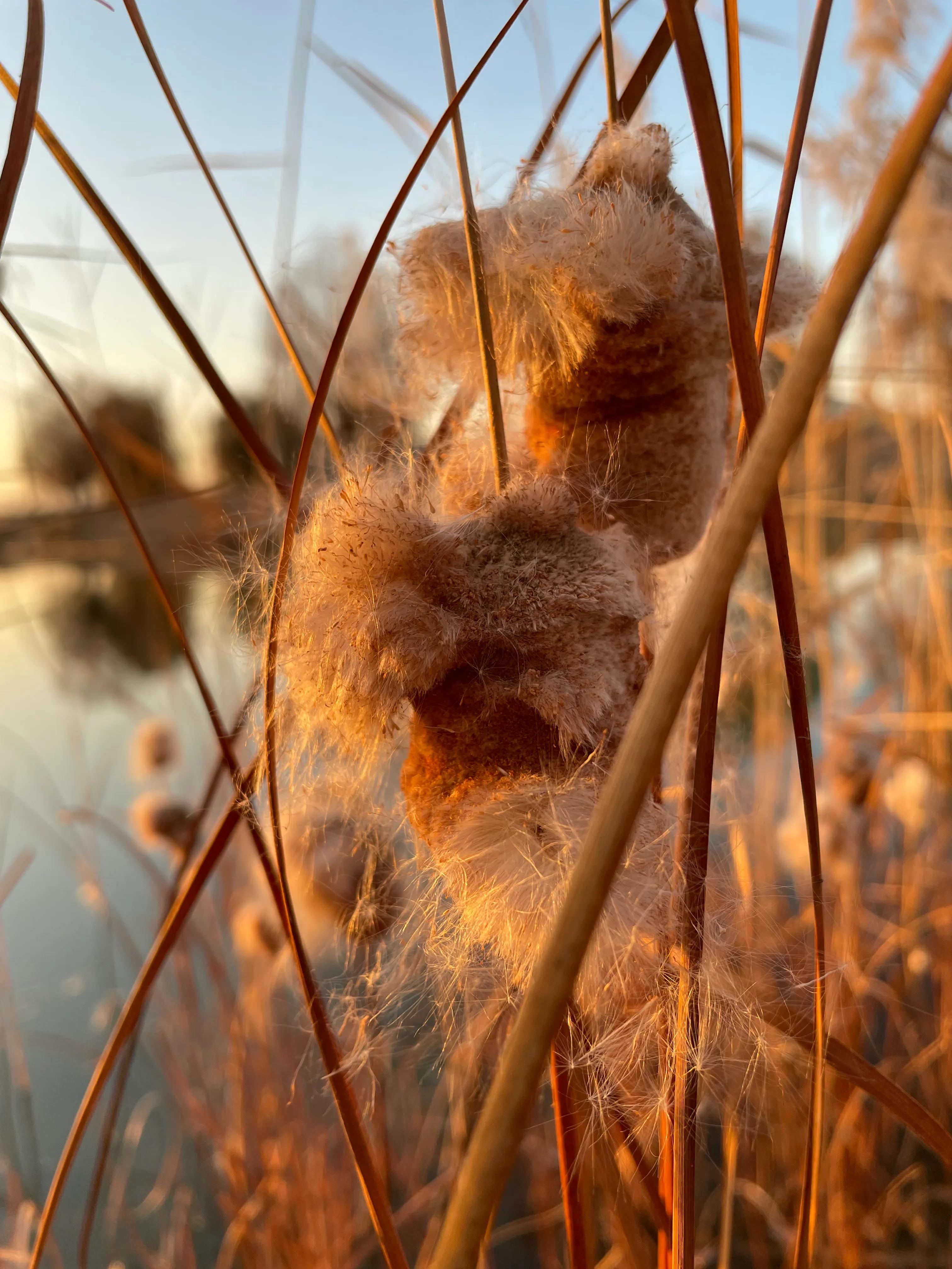 三沙源摩天轮,三沙源冬天玩的地方