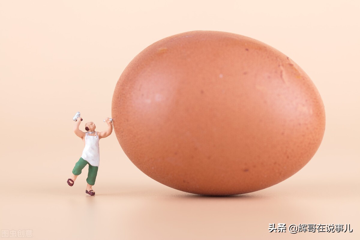 靠卖鸡蛋一年赚300万,卖鸡蛋创业案例