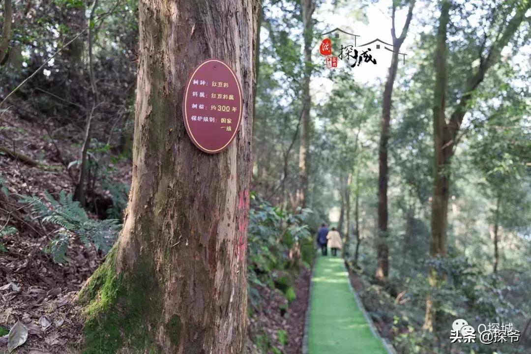 重庆爬山推荐险峻,重庆峭壁悬崖景区