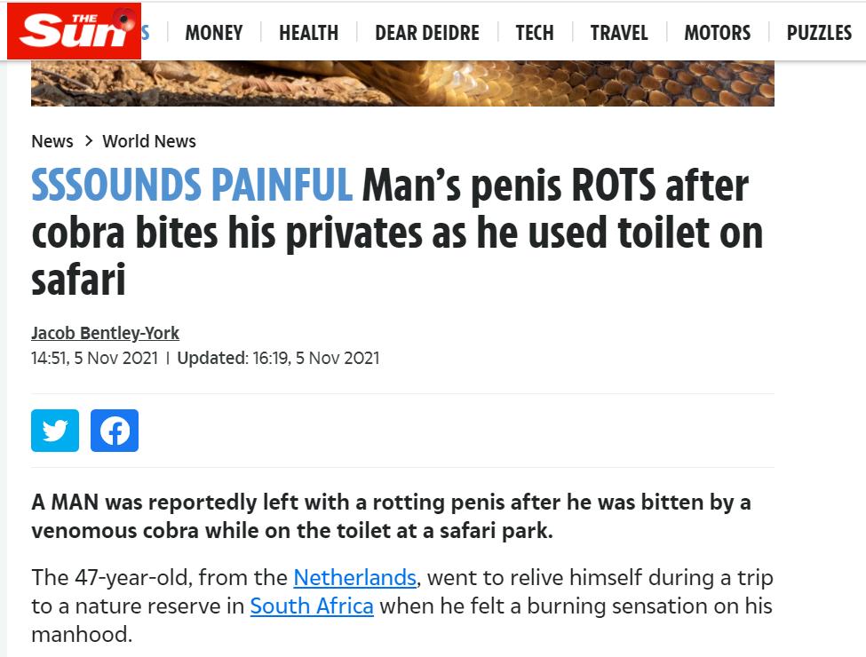 眼镜蛇被蛇咬,最担心的事终于发生了