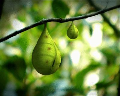 豆瓣9.6！娃刷到停不下来，还能看出人生大道理