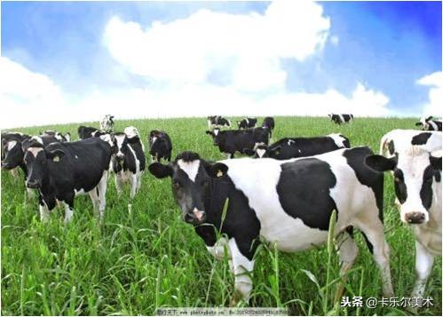 粘土手工作品小动物奶牛,超轻粘土手工作品创意画奶牛