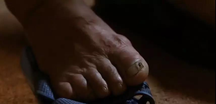 胆小鬼勿入深度解析,胆小勿进的秘密