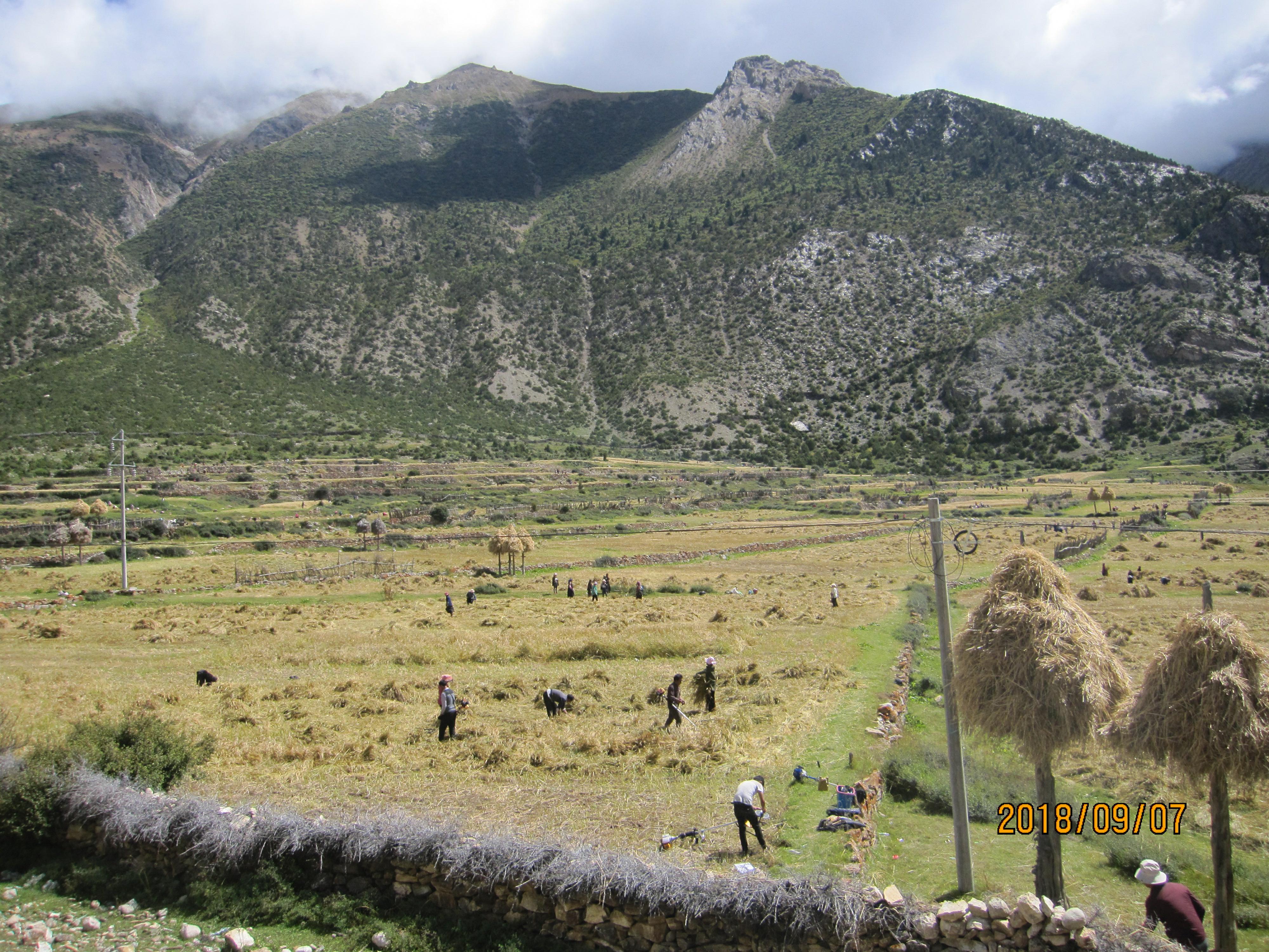 西藏第八天雪山下的然乌湖,从安徽到来西藏古冰川旅游攻略