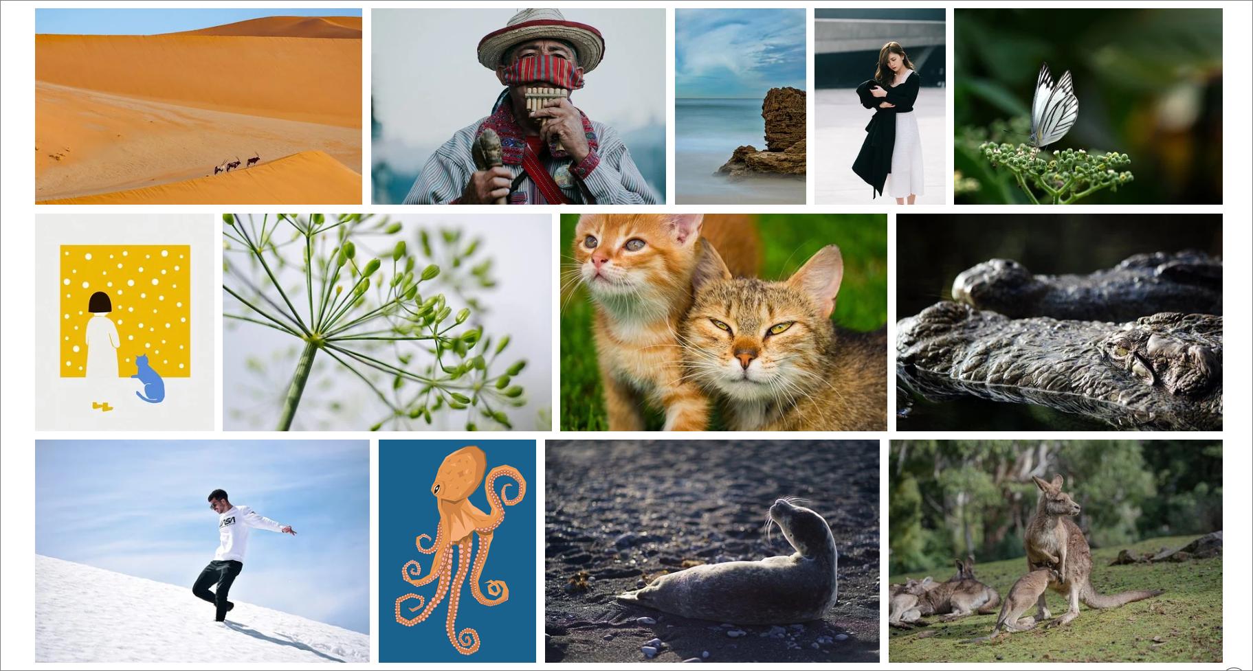 推荐几个好的资源网站,5个免费又实用的资源网站