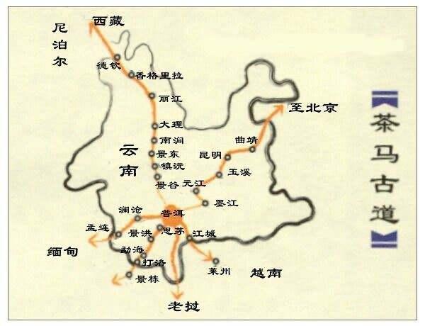 大唐王朝中后期的续命仙草：唐朝政府从茶税中获得了多少好处？