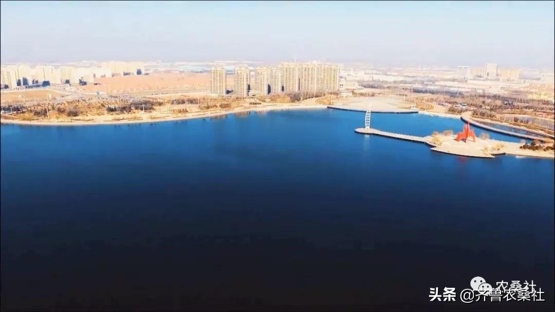 诸城是山东半岛区域性中心城市,山东半岛的小城诸城