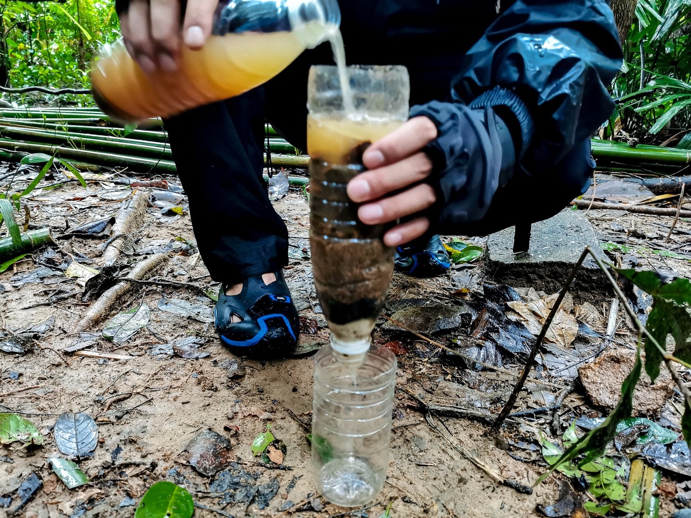 呀诺达雨林探险是什么,三亚呀诺达雨林正规吗