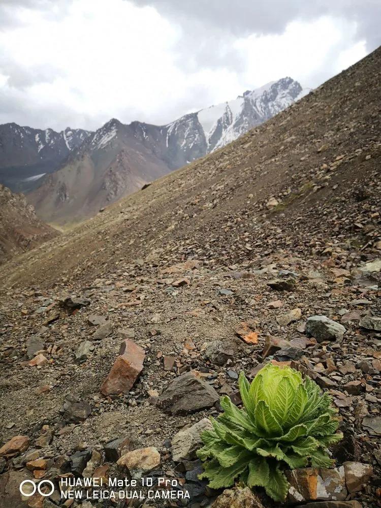 传说中的天狼之路，是否值得一走？