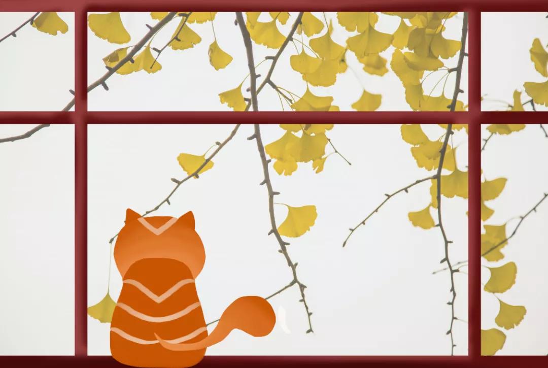 100个比喻拟人排比句小学生,小学语文比喻拟人夸张排比句整理