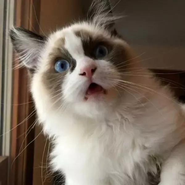 手机充电起火原因有哪些,手机充电不拔会起火吗