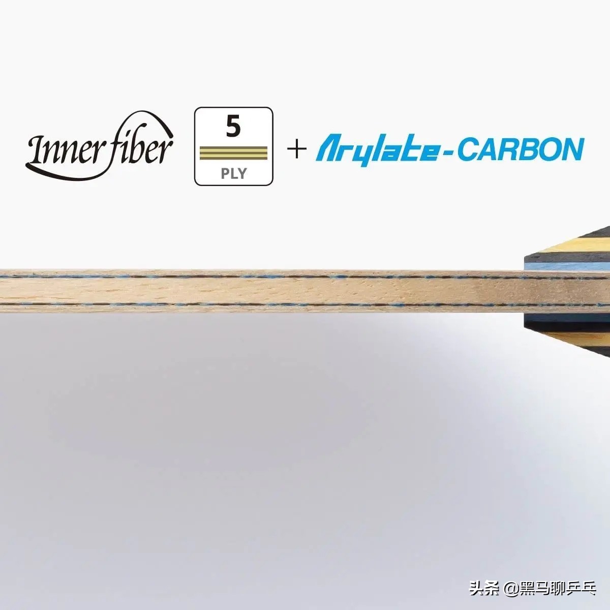 蝴蝶新出的几款底板推荐,蝴蝶vis底板的三大胶皮最佳搭配