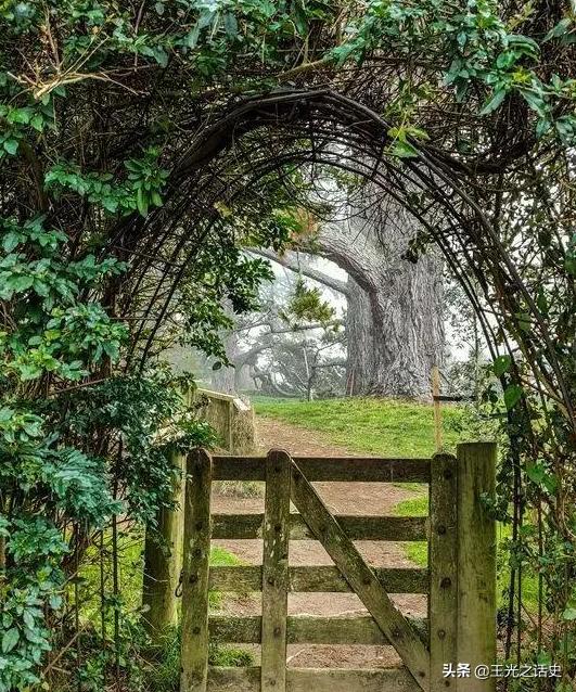 新西兰靠什么变成发达国家,新西兰是如何成为发达国家