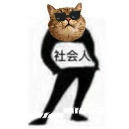 无限回购的几款零差评水乳,十大零差评水乳排行榜学生