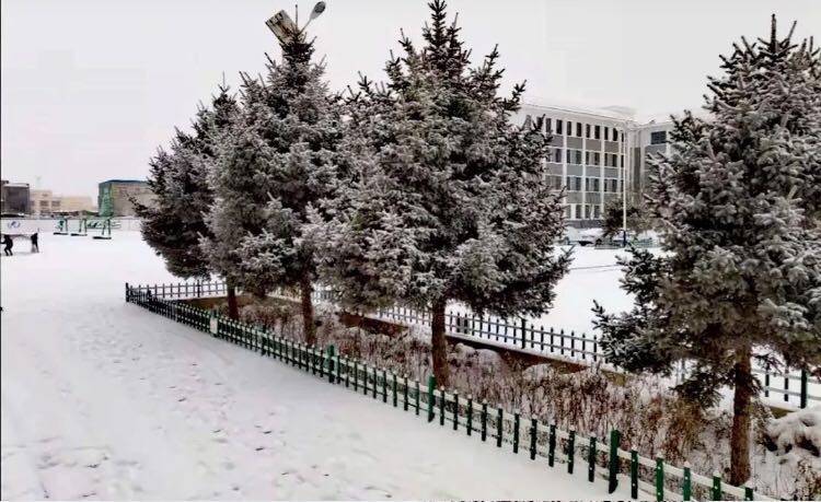 您好！我叫大靖，这是我的新名片