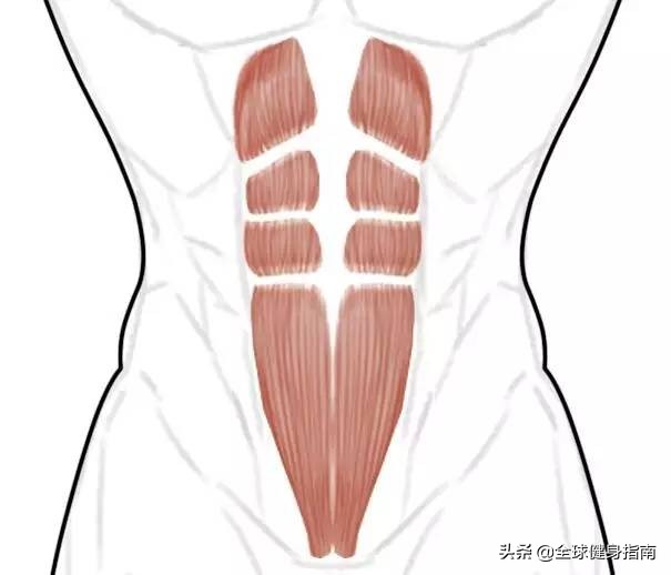 什么样的一步裙不显肚子,什么样的一步裙显瘦