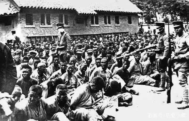 山东抗日根据地纪实,抗日战争山东军队