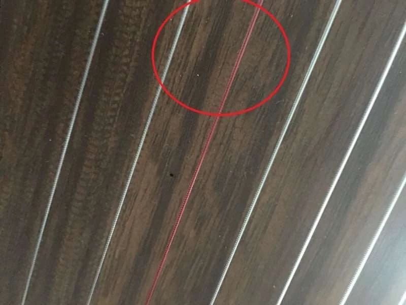 *伤杀**力大潜伏期长!你的古筝也需要“防疫”