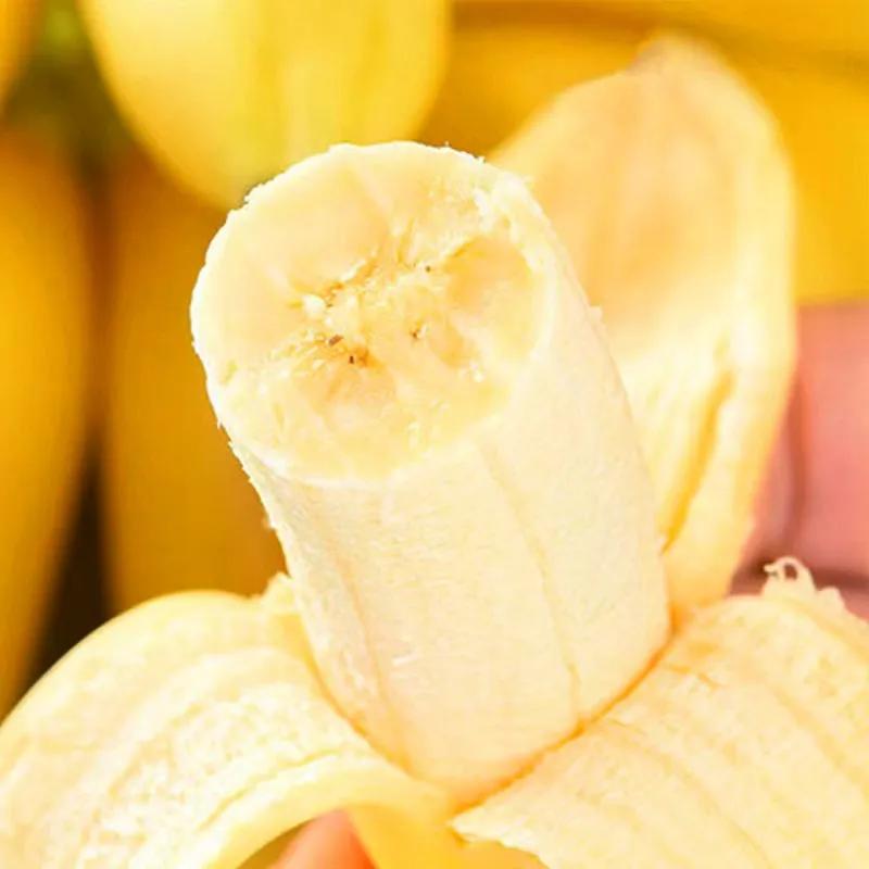 小米蕉口感软糯香甜,广西小米蕉香甜