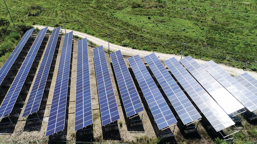 惠州市乡村振兴申报项目名单,惠州乡村振兴