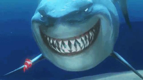 1只狐狸,36只企鹅被残忍猎杀