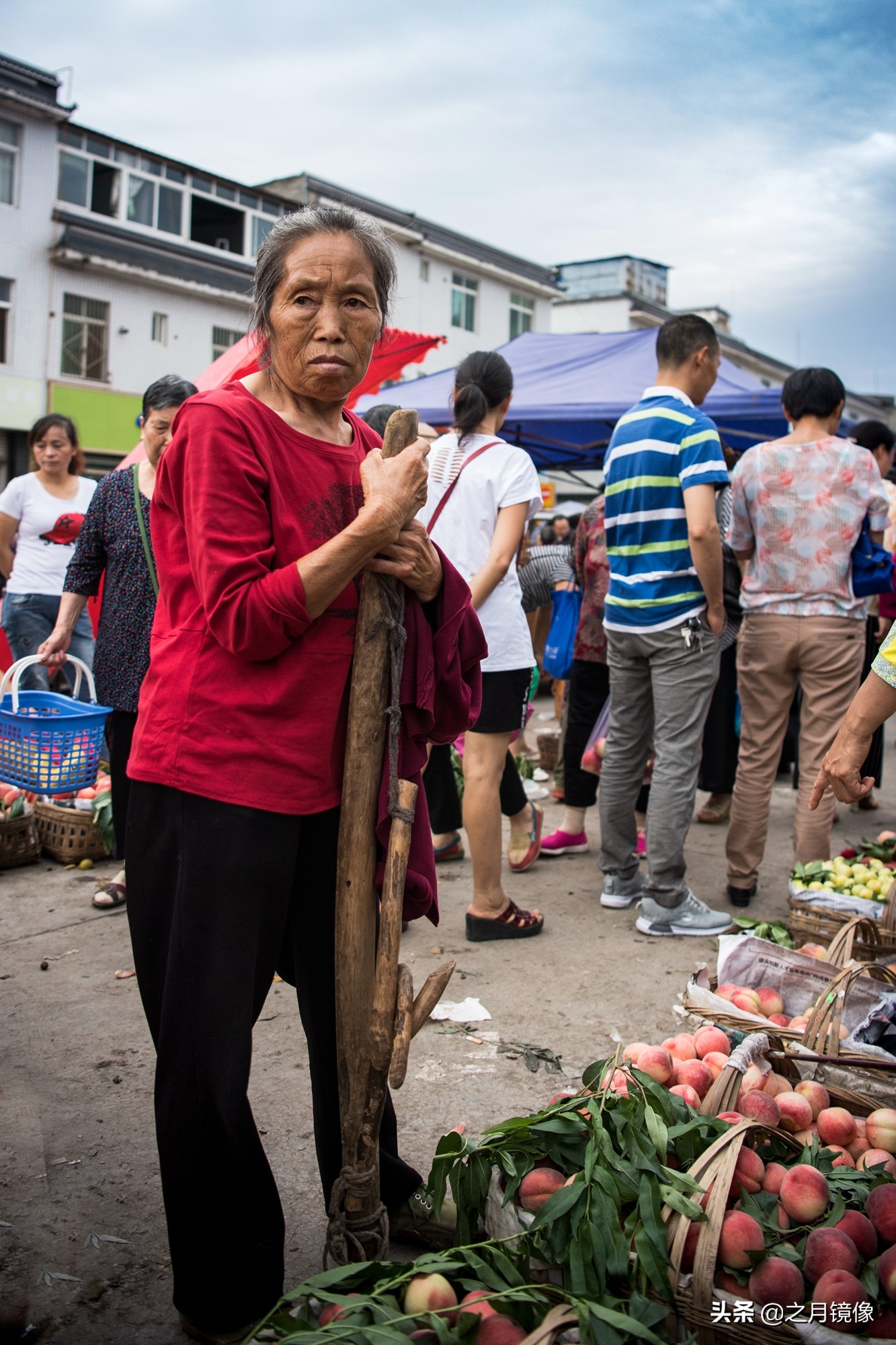 天府新区太平枇杷,成都太平枇杷批发市场