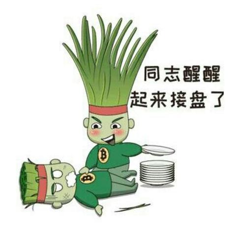 世界防溺水,旅游防坑指南