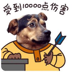 为什么要给狗狗绝育呢,狗狗不绝育有害处吗