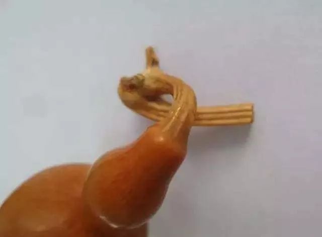 葫芦龙头断了怎么修剪,葫芦龙头怎么去掉