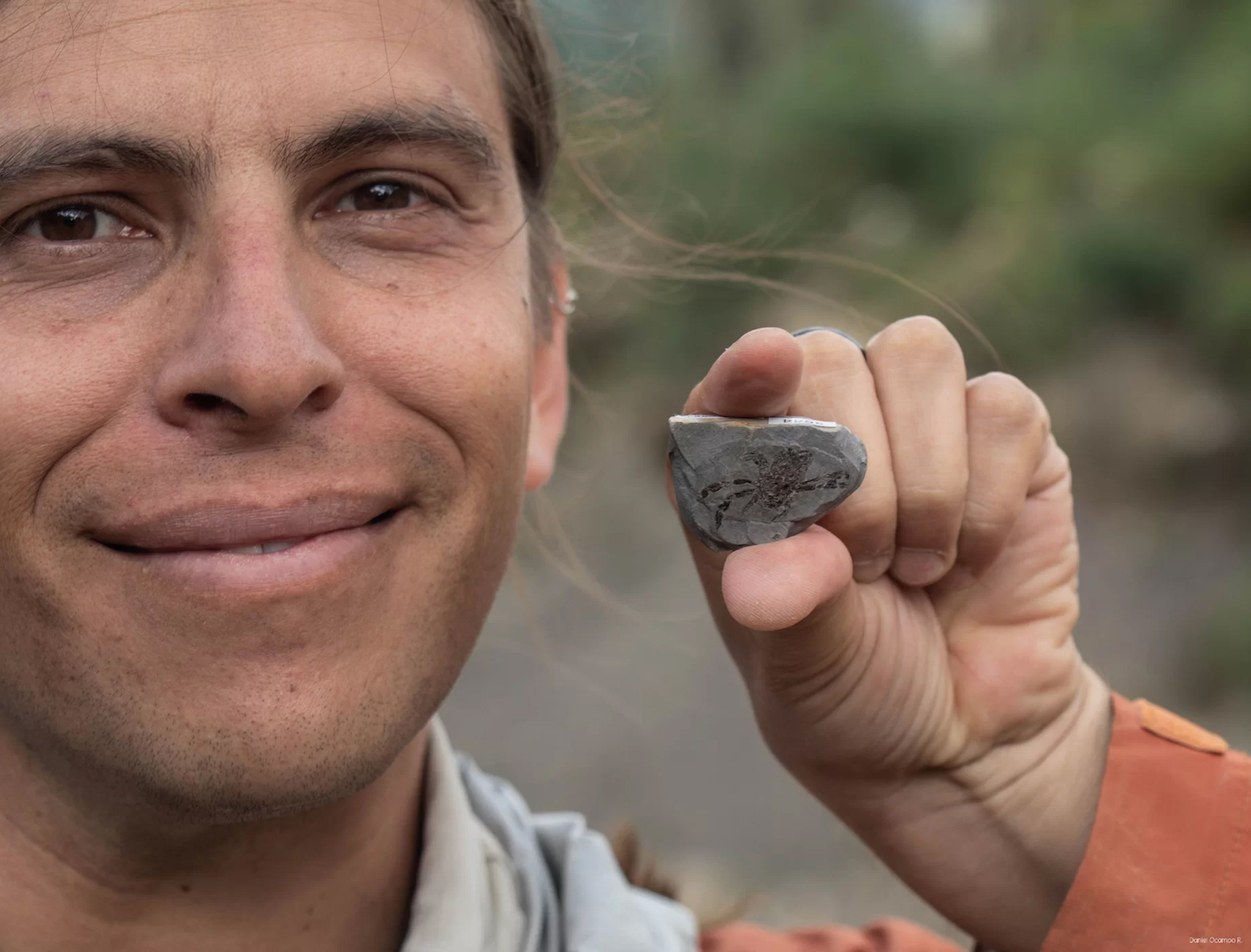 杂交螃蟹杂交龙虾,远古的螃蟹和龙虾