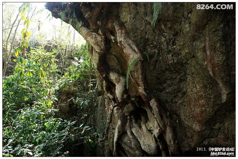 贵州黄果树天星桥游记,贵州黄果树天星桥景区
