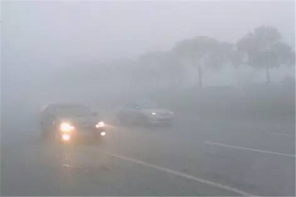 油箱是用什么材质做的,塑料油箱是什么做的