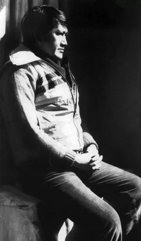 高晓松对木心的评价,高晓松被众人批判的视频