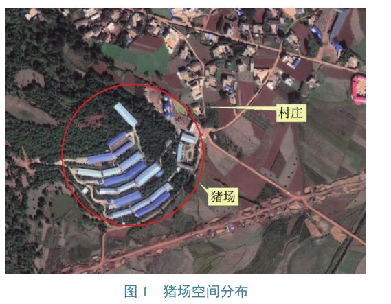 流行病学|一起猪群腹泻的紧急流行病学调查