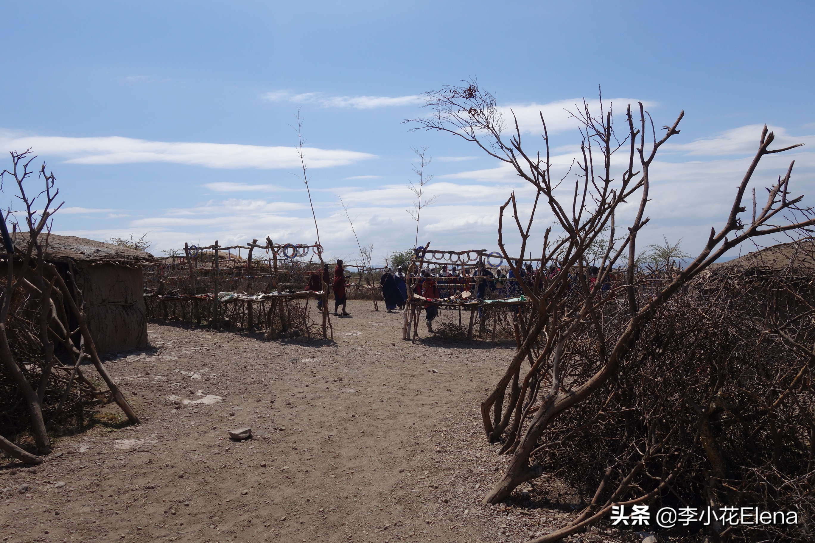 探秘非洲原始部落｜生喝牛血、一夫多妻的马赛人为何如此彪悍？